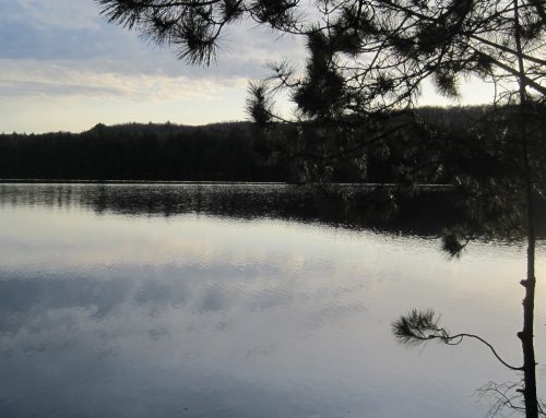 Algonquin Sunrise
